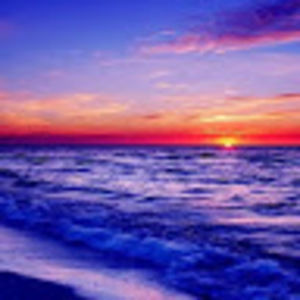 Meet your Posher, Sean